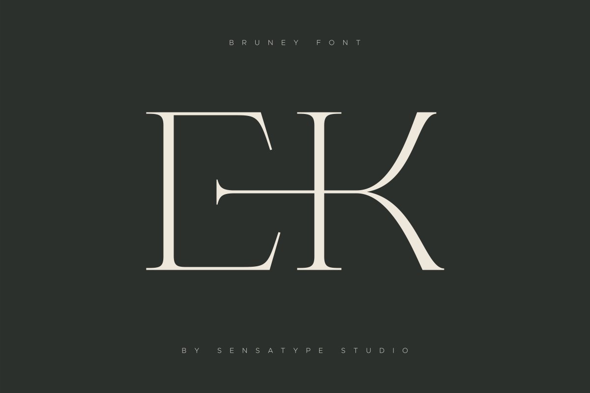 Bruney - Classy Ligature Font, a Serif Font by Sensatype (Photo 8 of 19)