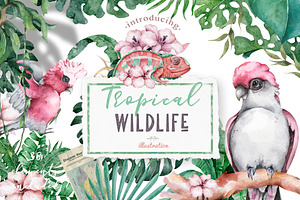 Tropical Wildlife Watercolor set