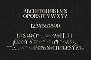 Berang Berang Serif Display Font, a Serif Font by Maryamtype Studio (Thumbnail 14 of 15)