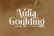 Madegra Serif (9 Weight Font Styles), a Serif Font by Letterhend Studio (Thumbnail 3 of 10)