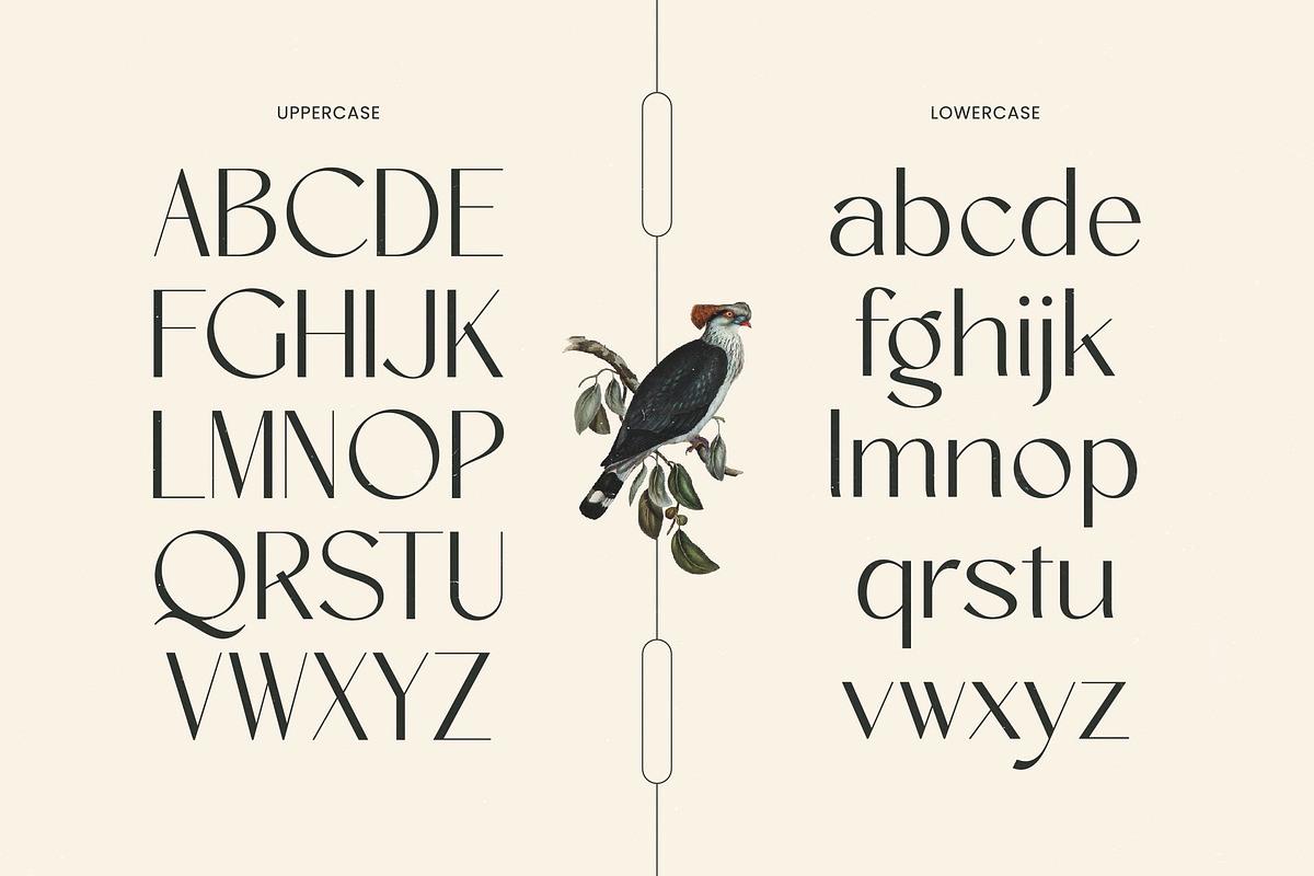 Amira Monte Elegant Display Font, a Sans Serif Font by timelesstype.co (Photo 7 of 20)