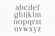 Polais – Modern Luxury Serif, a Serif Font by HipFonts (Thumbnail 9 of 9)