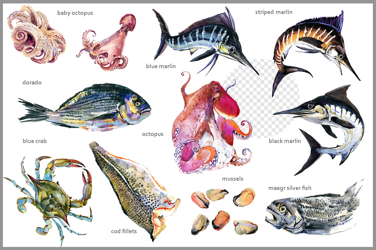 Fresh Sea Food: Watercolor Set, a Food Illustration by FineArt (Photo 2 of 4)