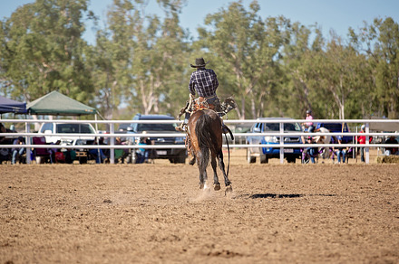 Bareback Bucking Bronc Riding At Country Rodeo, a Sports & Recreation ...