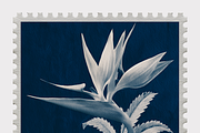 Lupa Co · Cyanotype Botanical Stamps, a Texture Illustration by milatovar (Thumbnail 5 of 18)