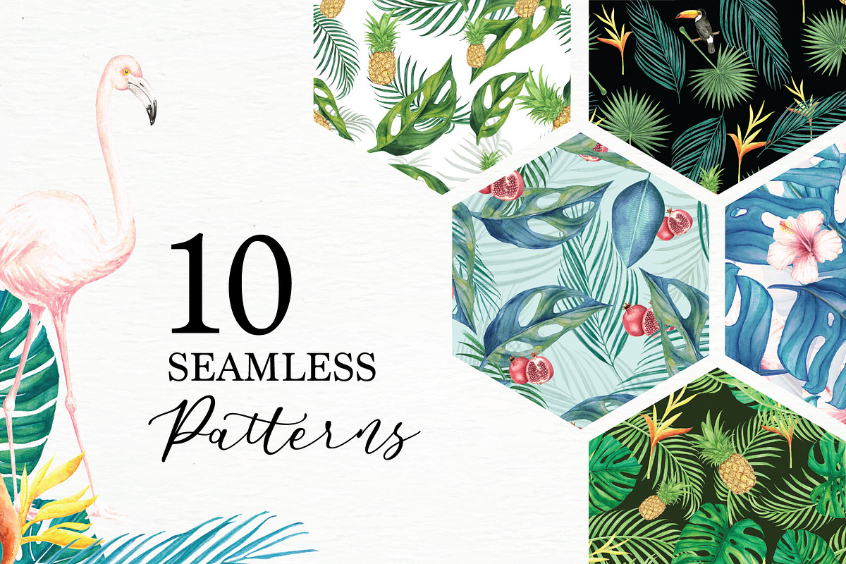 Tropical Collection, a Decorative Illustration by endita (Photo 3 of 14)