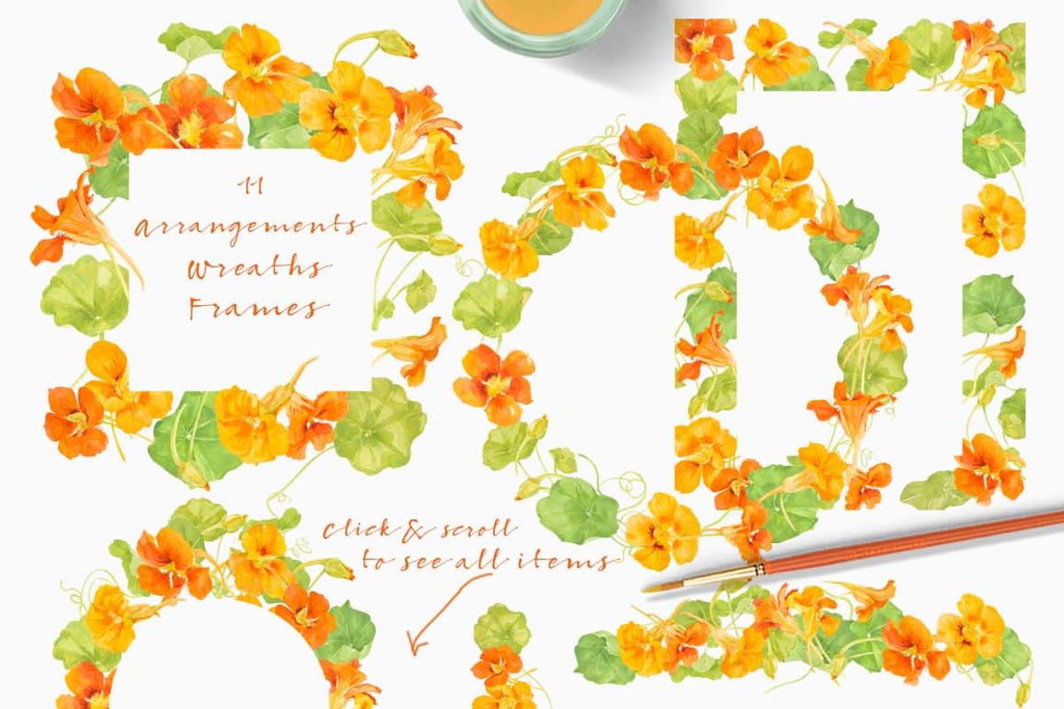 NASTURTIUM flowers-WatercolorClipart, an Illustration by watercolorwild.graphics (Photo 5 of 7)
