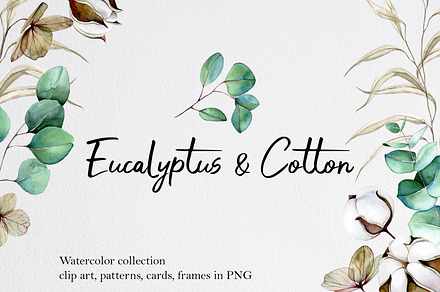 Eucalyptus and cotton