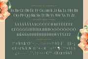 Barely Painter Elegant Serif Font, a Serif Font by timelesstype.co (Thumbnail 18 of 20)