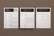 Resume Template / CV, a Resume Template by Artisan Vibes (Thumbnail 7 of 7)