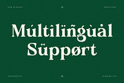 Belcino — Editorial Serif Font, a Serif Font by Almeera Std (Thumbnail 10 of 10)