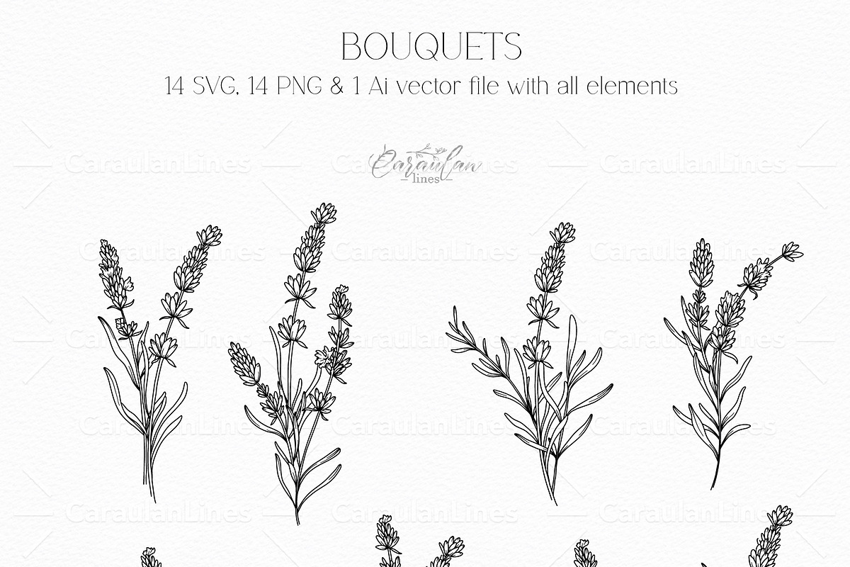 Lavender Clipart Line Art, an Object Graphic by CaraulanStore (Photo 4 of 10)