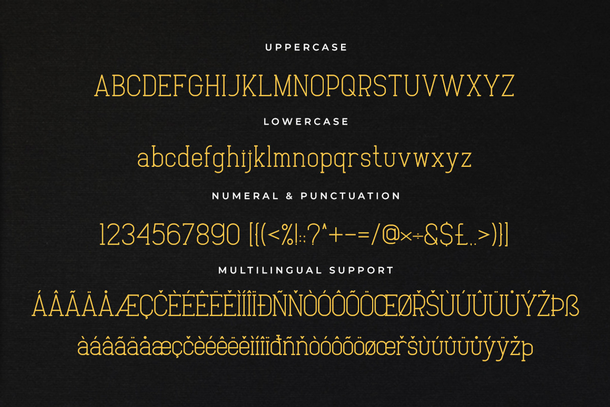 Baxley - Modern Slab Serif preview 8