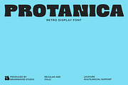 Protanica - Retro Display Font, a Sans Serif Font by Brainwaves.Studio (Thumbnail 1 of 8)