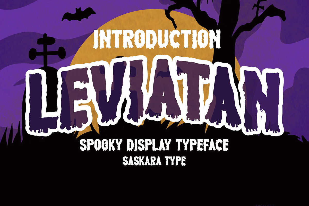 Leviatan, a Serif Font by saskaratype (Photo 1 of 6)