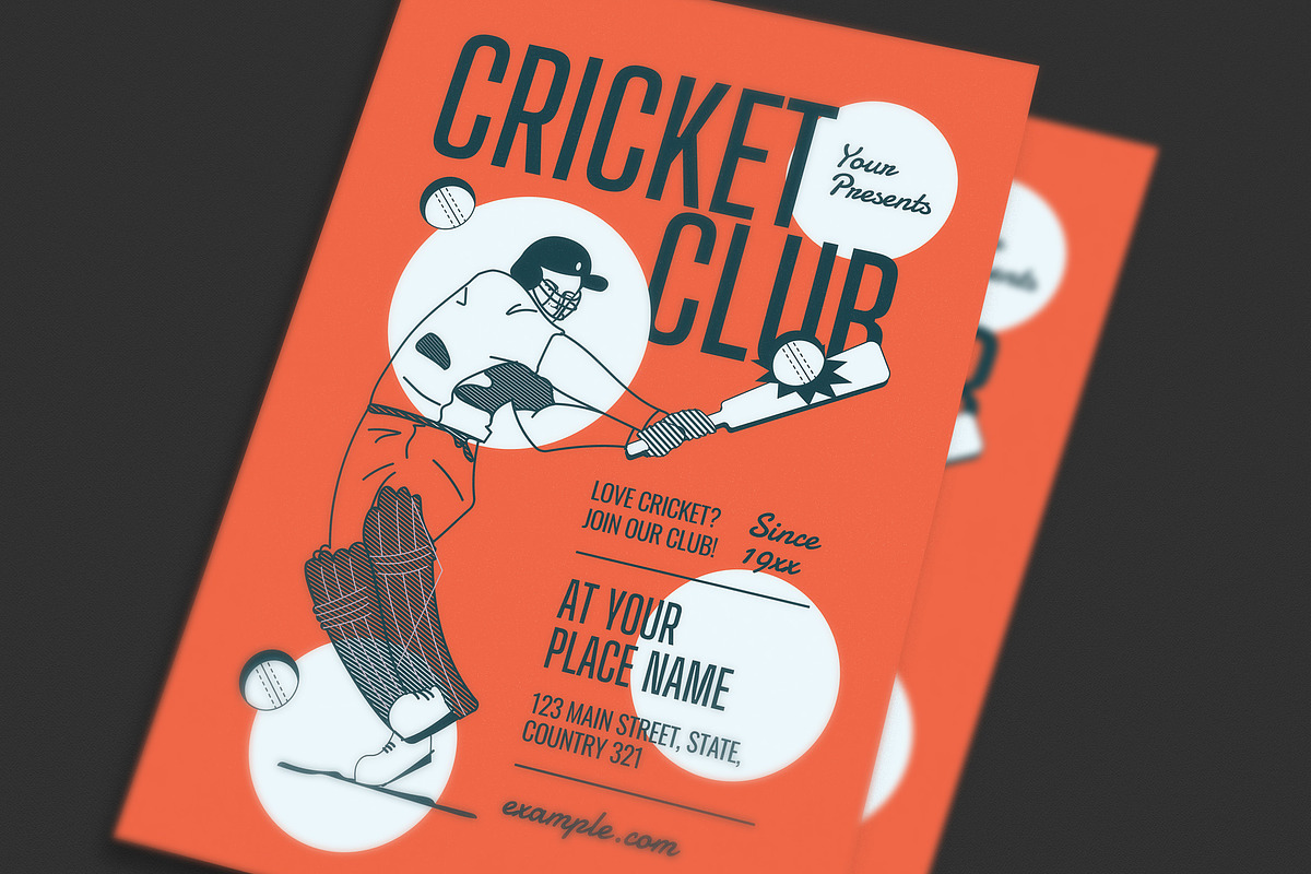 Retro Cricket Ball Club Event Flyer preview 2