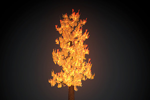 Burning Tree Big