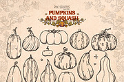 Pumpkins and Squash, a Seasonal Illustration by Ink Stories (Thumbnail 5 of 20)