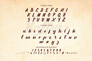 Kalira Script, a Handwritten Font by Ginart (Thumbnail 8 of 9)