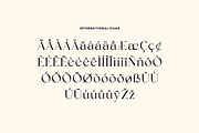 Brogadier Elegant Serif Font, a Serif Font by UICreative (Thumbnail 11 of 13)