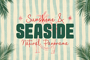 Summer Blythe Font Duo, a Script Font by cocodesign (Thumbnail 2 of 8)