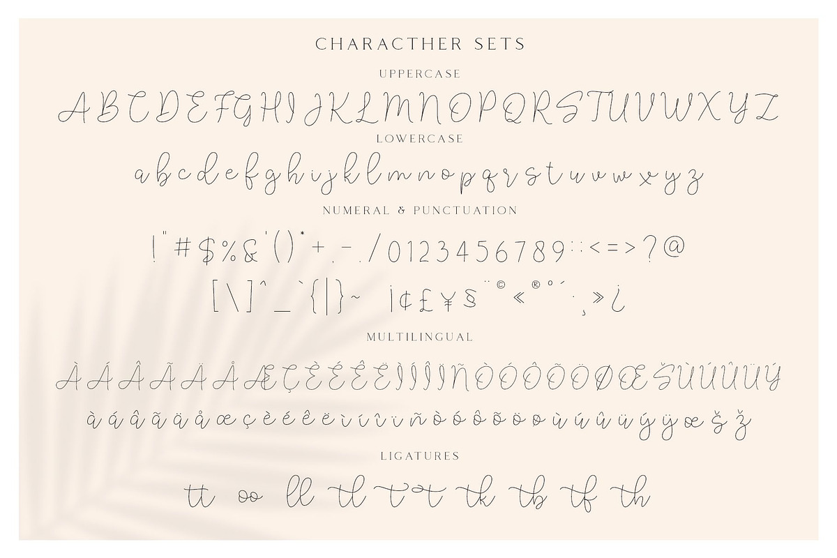Lucylane - Signature Typeface, a Script Font by Craft Supply Co. (Photo 11 of 13)