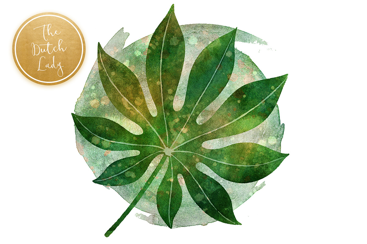 Tropical Jungle Leaves Clipart Set, an Illustration by The Dutch Lady ...