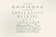 Georgiano Modern Serif Font, a Serif Font by Storytype Studio (Thumbnail 14 of 15)