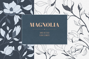 Hand Sketched Magnolia 