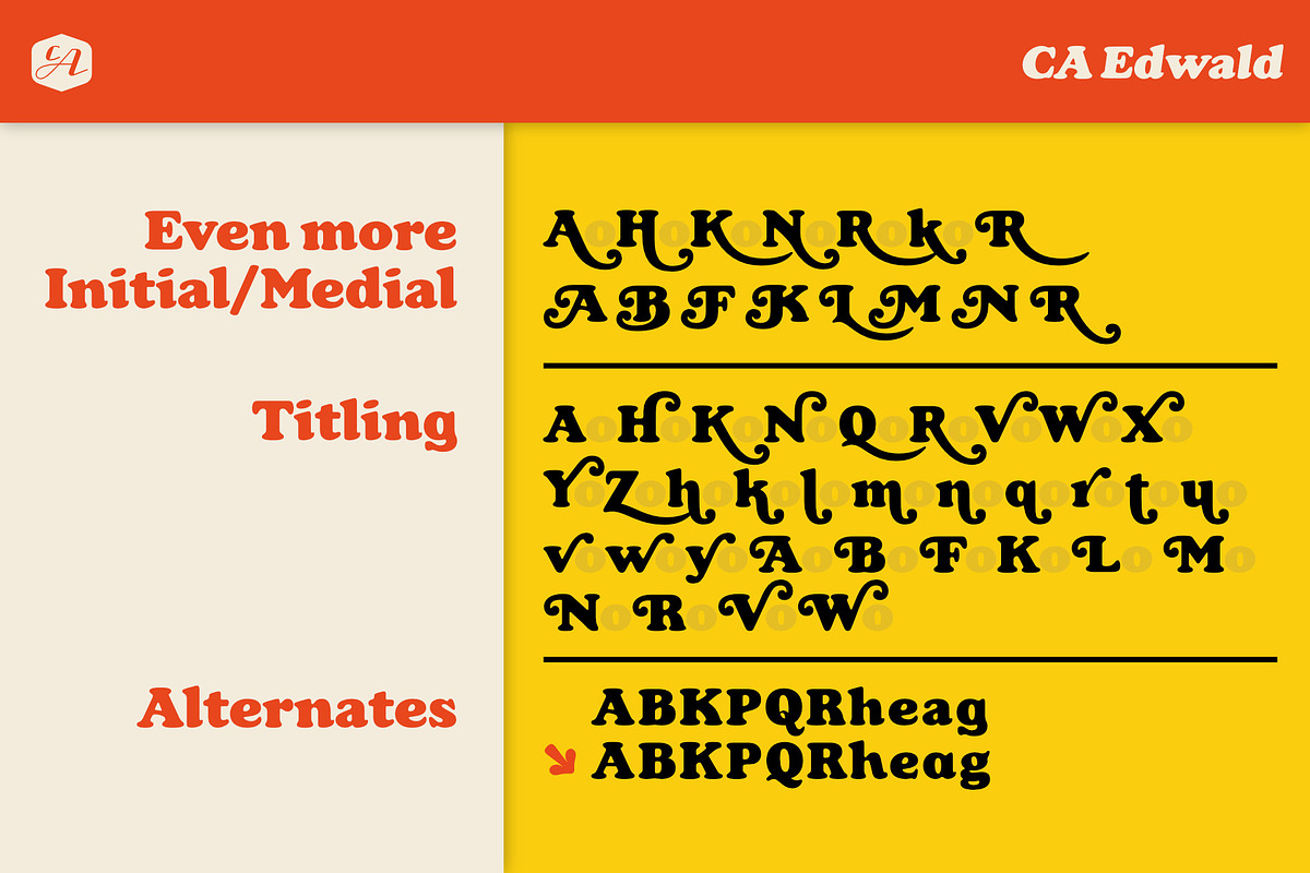 CA Edwald, a Serif Font by Cape Arcona Type Foundry (Photo 8 of 10)