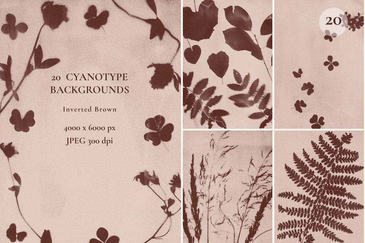 CYANOTYPE Botanical Backgrounds, a Background Graphic by Alisovna (Photo 13 of 15)