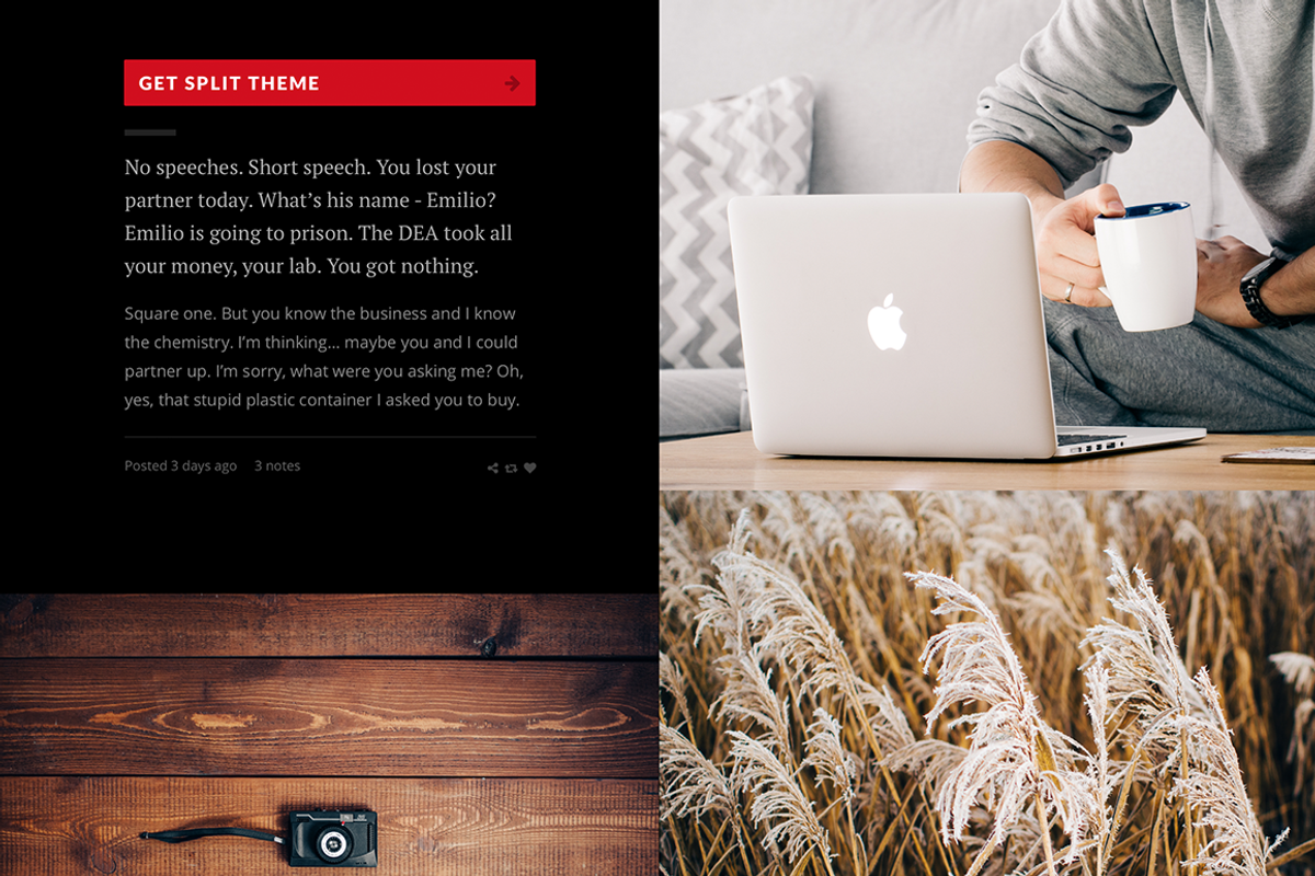 Split tumblr theme, a Websites & App Template by Pixel Revel (Photo 5 of 5)