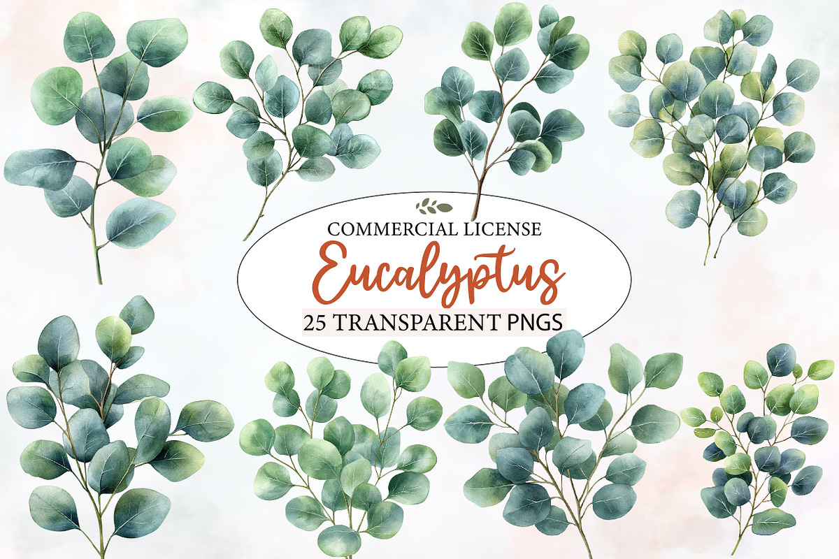 Watercolor Eucalyptus Clipart, an Illustration by Designworld (Photo 1 of 6)