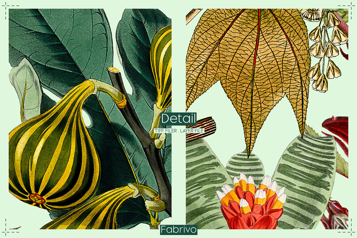 Jungle Epiphany Floral Pattern, a Pattern Graphic by Fabrivo (Photo 9 of 9)