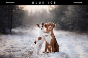 10 Snowy Lightroom Presets, a Plug-in Add-On by Prime Layers (Thumbnail 2 of 9)