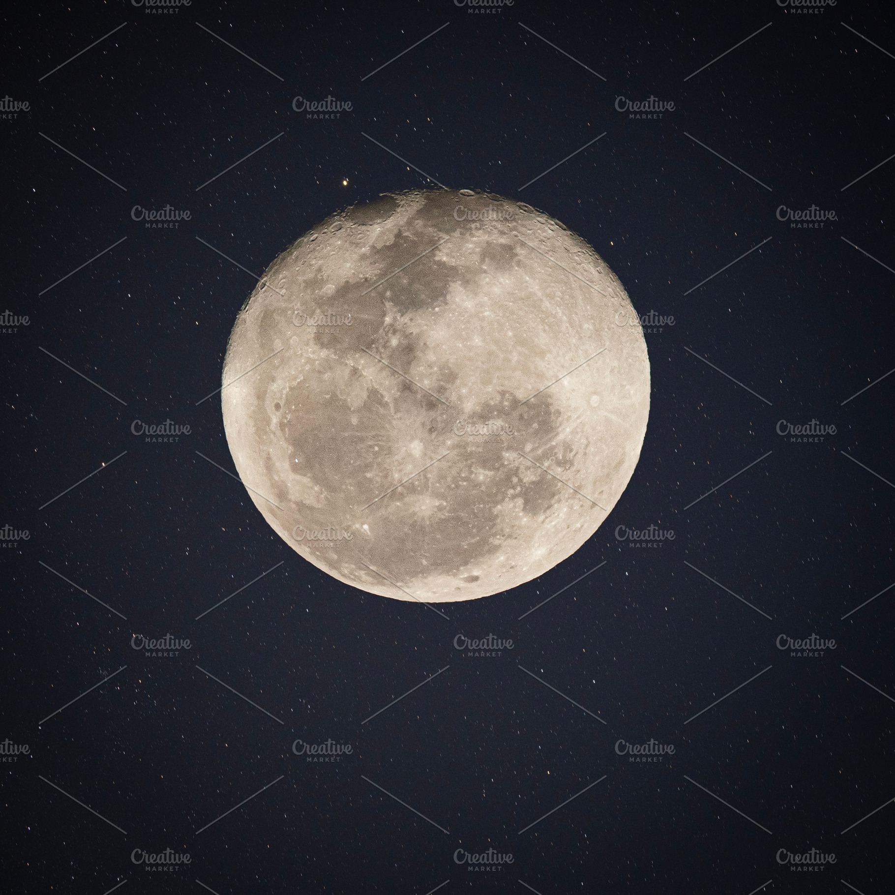 Full Moon, a Photo by Rob D Animal Photography