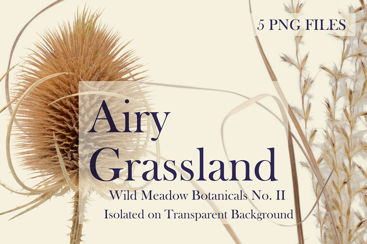 Airy Grassland — Wild Meadow Botanic, an Object Graphic by Aga Silva (Photo 6 of 8)