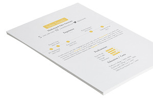 Timeline Resume Template