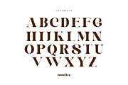 Astelin, a Serif Font by zaaintype (Thumbnail 8 of 15)