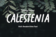 Calestenia Font, a Handwritten Font by Typology (Thumbnail 1 of 6)