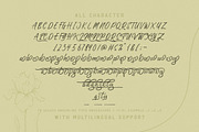 Tahnia - Modern Script, a Script Font by Rillatype Studio (Thumbnail 10 of 10)