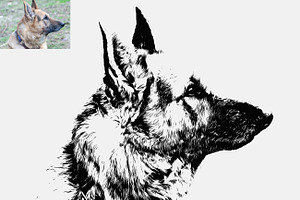 Animal Tracing Photoshop Action