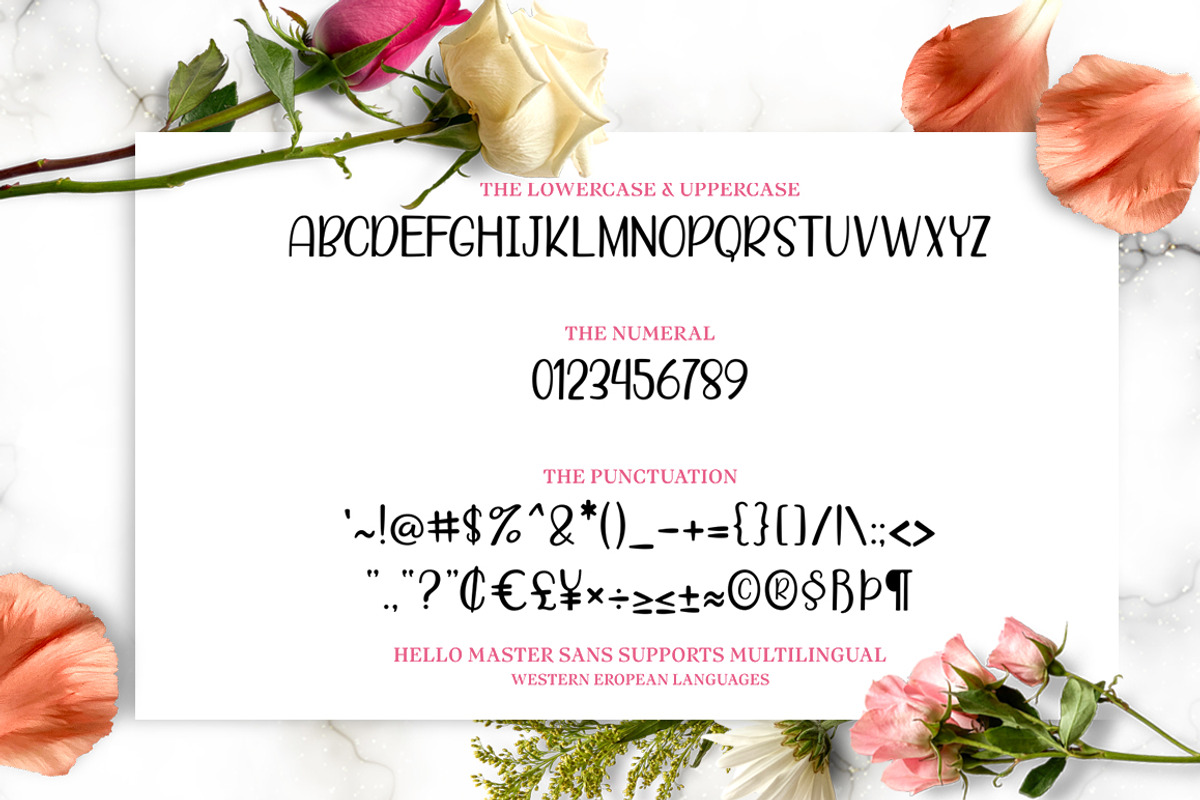 Hello Master FONT DUO with Doodle, a Script Font by Alpha Bento (Photo 6 of 8)