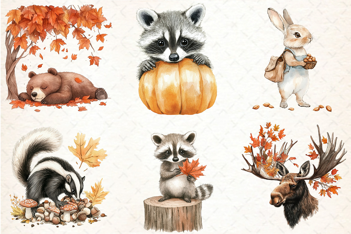 Autumn Forest Animal Set, an Illustration by DreamCafeArt (Photo 4 of 7)
