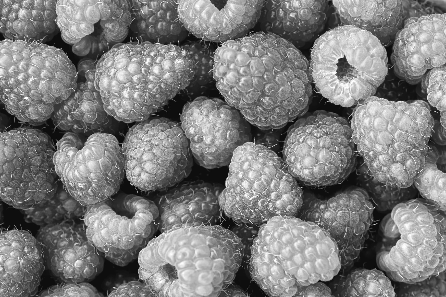Black & white raspberry texture featuring texture, background, and ...