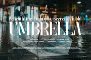 Fiably Manor | Modern Display Serif, a Serif Font by Denustudios (Thumbnail 5 of 13)