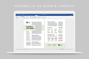 Business Fact Sheet MS Word & Indd