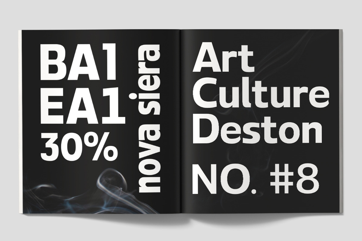 Paquero Sans Family, a Sans Serif Font by Propertype (Photo 2 of 11)