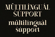 Casthelic - Elegant Serif Typeface, a Serif Font by Dryy.type (Thumbnail 9 of 11)