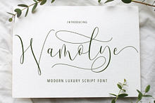 Wamoly - Luxury Script